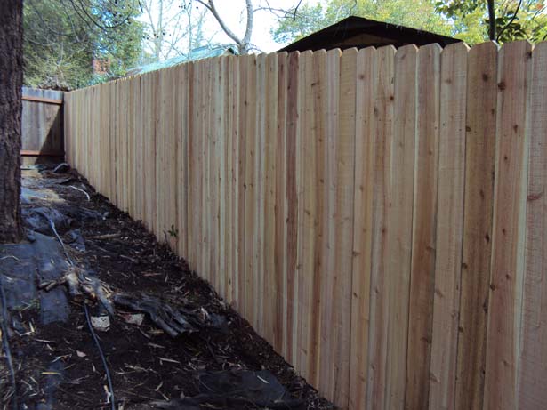 cedar fence on master posts