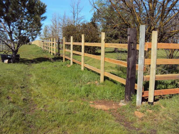 ranch-style fence